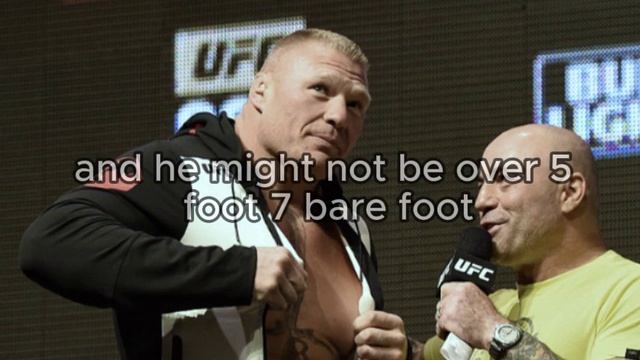 Joe Rogan Height: How Tall is Joe Rogan смотреть онлайн