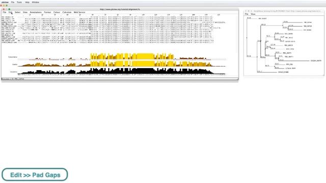 Calculating and Displaying Trees in Jalview смотреть онлайн