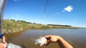 Супер рыбалка на паук (подъемник)! Рыбалка на паук с лодки! Отличный улов!