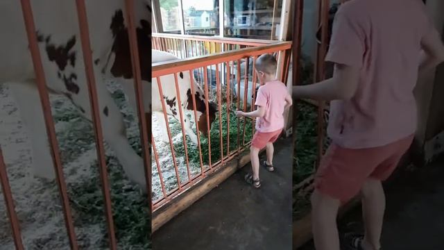 Тимофей ноль скуки на ферме вднх смотреть онлайн