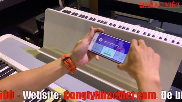 KORG B2: Giới thiệu Digital Piano cho gia đình смотреть онлайн