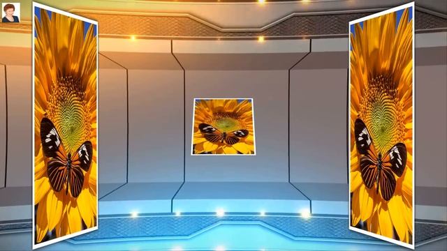 ПОДСОЛНУХИ – СПУТНИКИ СОЛНЦА (Sunflower) смотреть онлайн