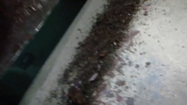 Кулинарное путешествие по миру