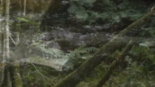 Рыбалка на Дордони смотреть онлайн