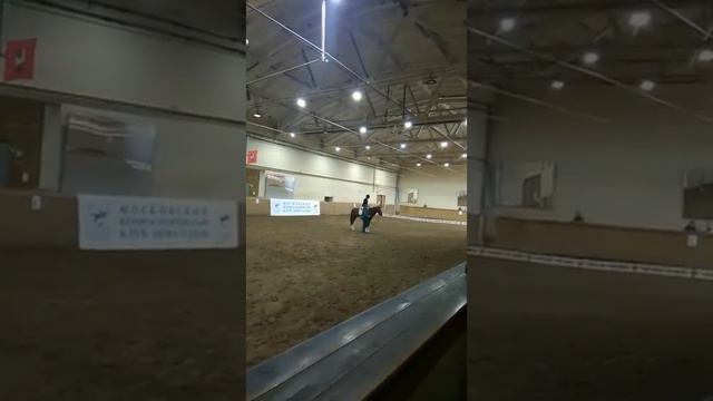 Мария Белова 1 место в программе начало выездки кубок им. П.Т Гурвича смотреть онлайн