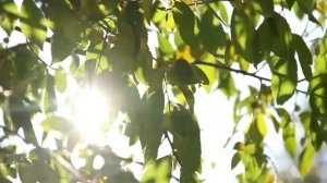 Мантра для привлечения денег из неожиданных источников. Мантра на быстрые деньги.