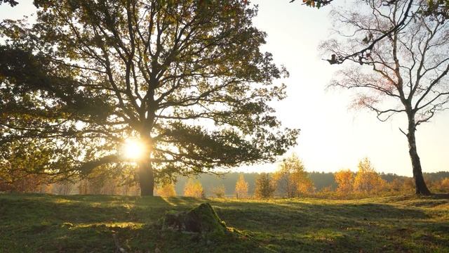 Пушкин А.С. стихотворение "Наперсница волшебной старины". смотреть онлайн