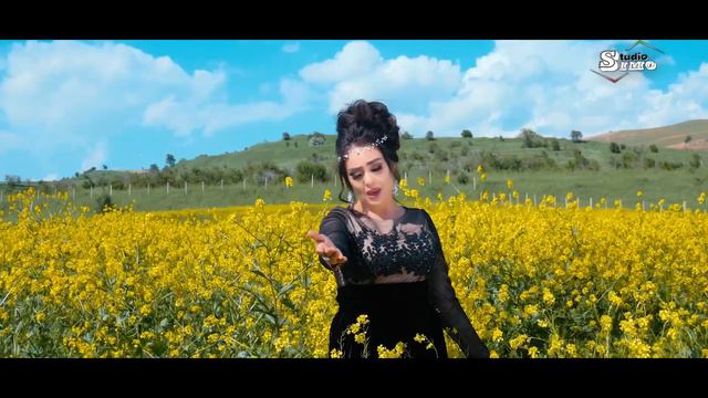 Сарвиноз Юсуфи - Шамолои Лолазор | Sarvinoz Yusufi - Shamoloi Lolazor 2019 смотреть онлайн