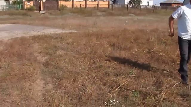 Единственный стадион Балашовского района смотреть онлайн