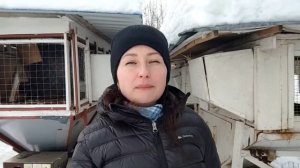 Калифорнийские кролики в моем хозяйстве / Обзор и характеристика / Опыт содержания.