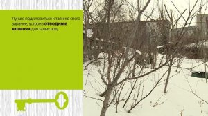 Работы в саду в марте. Советы агронома
