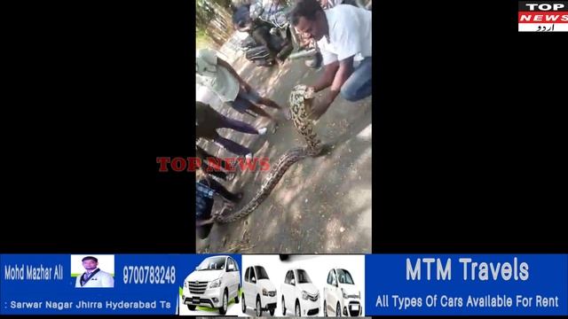 TOP NEWS URDU Secunderabad Huge python found in Rail Nilayam Park.Locals spotted a 14 feet python смотреть онлайн