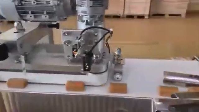 Горизонтально - упаковочная машина Нотис для упаковки штучный продуктов в упаковку Flow Pack смотреть онлайн