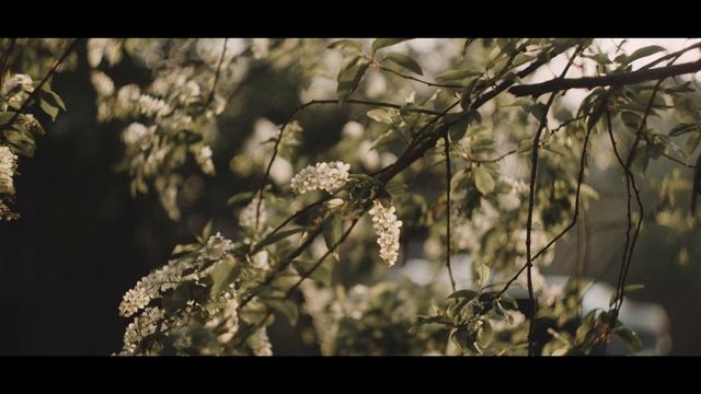 Blackmagic Pocket Cinema Camera 4k | Handheld With Helios 44m4