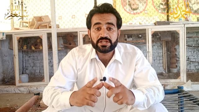 Hot Item Fawn Java bussiness karain lekin Ehtiat Sy..! смотреть онлайн