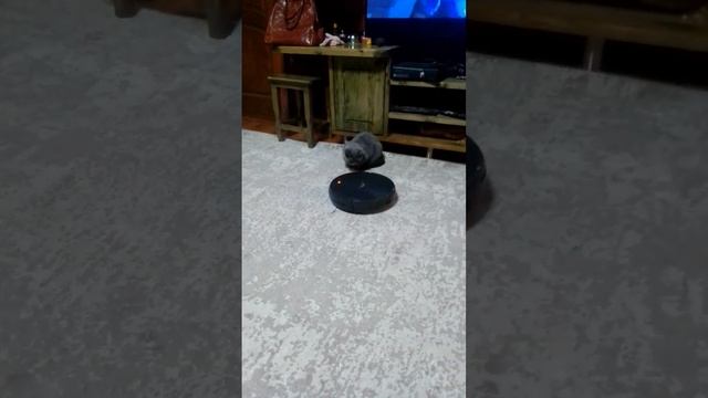 короче говоря.Я робот пылесос