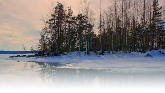 Зимний лес смотреть онлайн