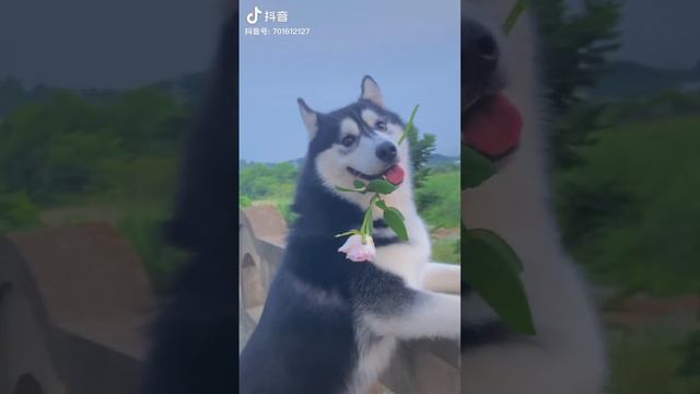 ♡ 14 смотреть онлайн