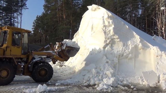 ВОЦОР по звс .Второй этап подготовки и запуск лыжероллерной трассы в Городке. ноябрь 2109 смотреть онлайн