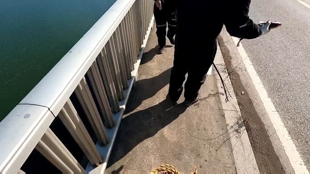 Южная Корея. Рыбалка на паук новогодний выпуск. За один подъем 3 рыбы. #fishing #낚시 смотреть онлайн