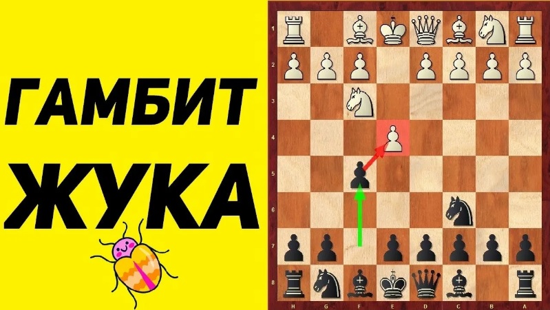 Шахматы. РИСКОВАННЫЙ Дебют за черных против 1.Е2-Е4. Школа шахмат d4-d5. смотреть онлайн