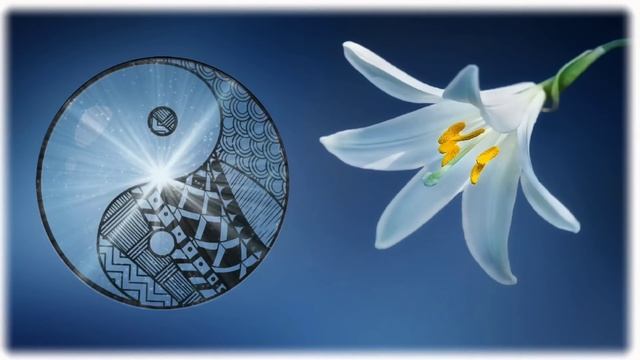 5 октября - День добра и нежности. Обязательно скажите одну фразу. смотреть онлайн