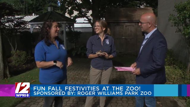 Feed your curiosity at RWPZoo! смотреть онлайн