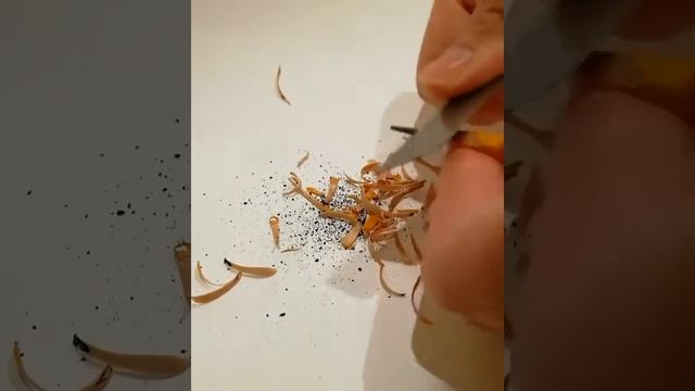 Как заточить ОСТРЫЙ карандаш смотреть онлайн