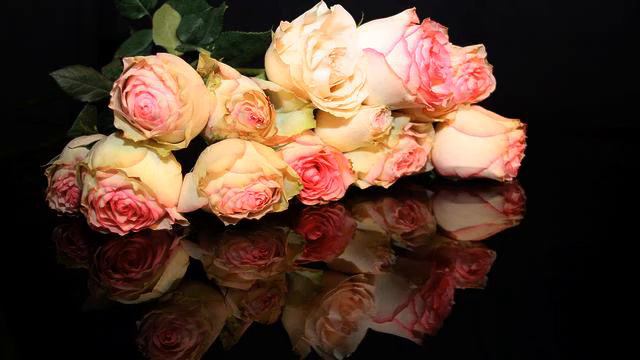 Самые красивые клипы и видео онлайн смотреть онлайн