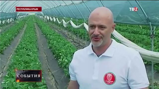 КЛУБНИЧКА БЕЗ ХИМИИ. смотреть онлайн