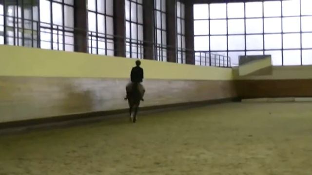 Маша и Боливар смотреть онлайн