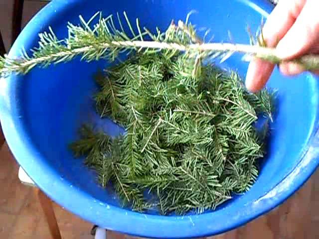 Перекручиваю пихтовые веточки на мясорубке смотреть онлайн