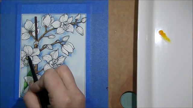 Watercolouring with Dr PH Marin Hydrus - Power Poppy Orchid Cascade смотреть онлайн