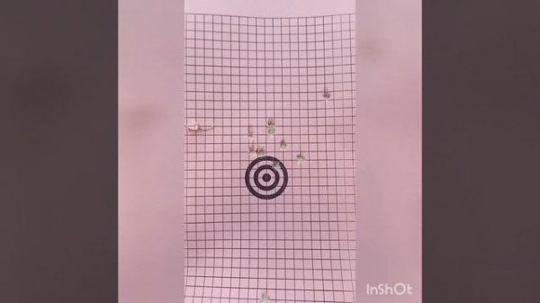 Reximex Force 2 #отстрел  #тесты #любитель