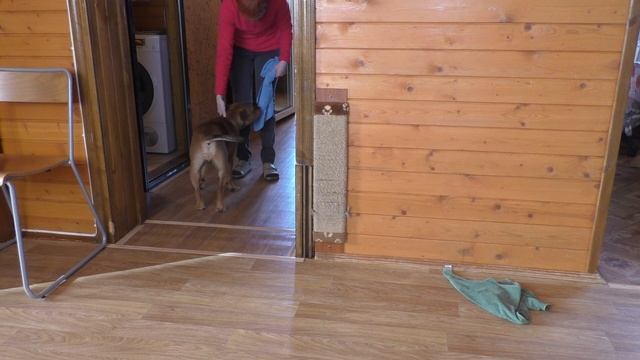 Стаф.буль Чоко-Пай 8 месяцев смотреть онлайн