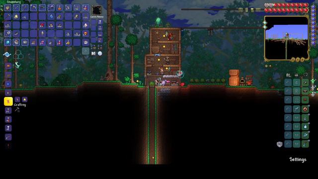 beating that one damned shrine! starlight river episode.12. #terraria #tmodloader смотреть онлайн