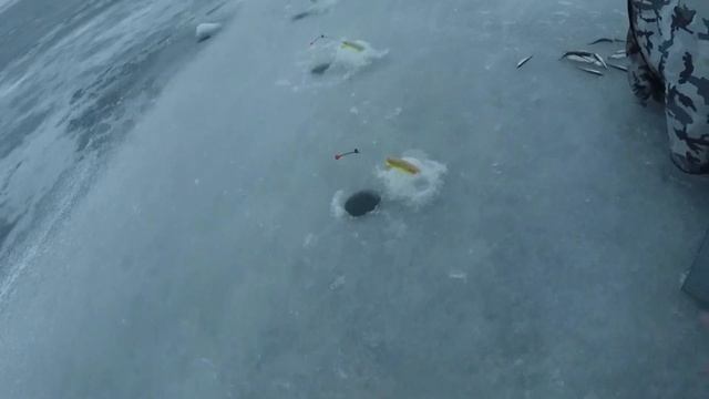 Как ловим корюшку на Финском Заливе. Какие снасти на корюшку. смотреть онлайн