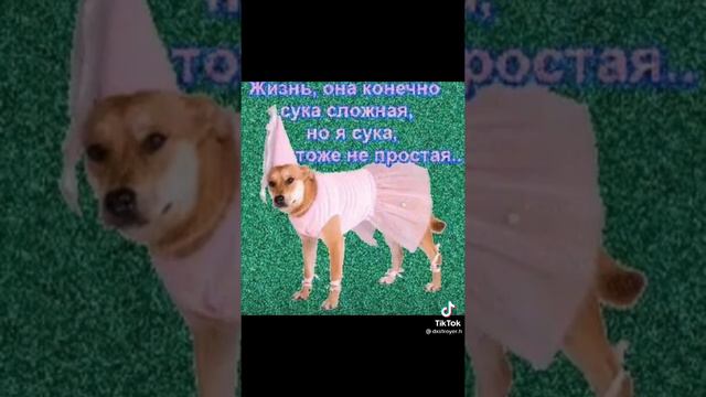 Майор Гром тик ток мемы 29-я часть смотреть онлайн