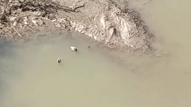 Mi8 lite цифровой зум смотреть онлайн