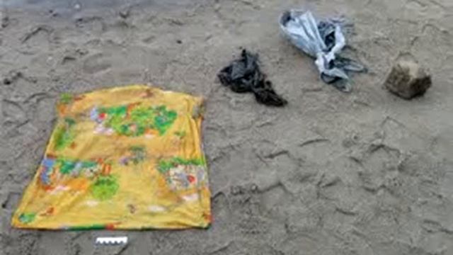 Утром в пасхальное воскресенье в районе Нижне ростинского шоссе рыбаки обнаружили труп новорожденно смотреть онлайн