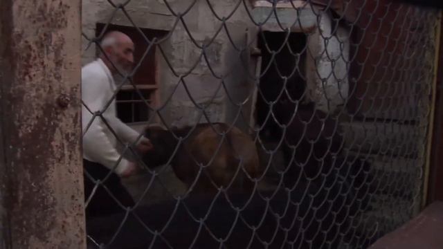 SPITAK. THIRTY YEARS OF SOLITUDE / СПИТАК. ТРИДЦАТЬ ЛЕТ ОДИНОЧЕСТВА