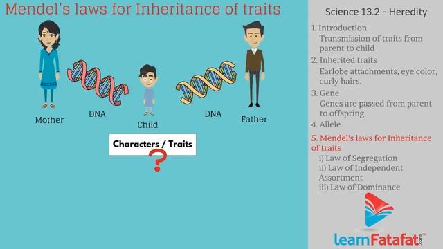 Heredity and Variation Class 9 Science -Heredity смотреть онлайн