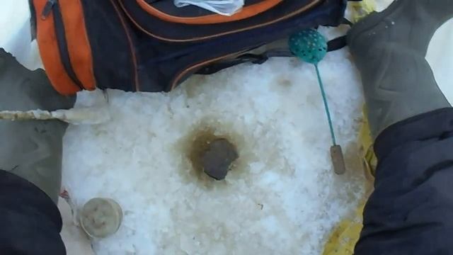 Зимняя рыбалка на самую лучшую насадку, рыбалка зимой на мормышку смотреть онлайн