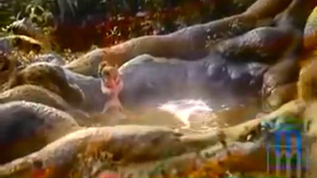 God luck Gosbert - Ubarikiwe смотреть онлайн