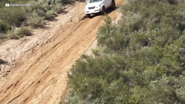 7 CHEAP SUV's That Last 500,000 Miles!