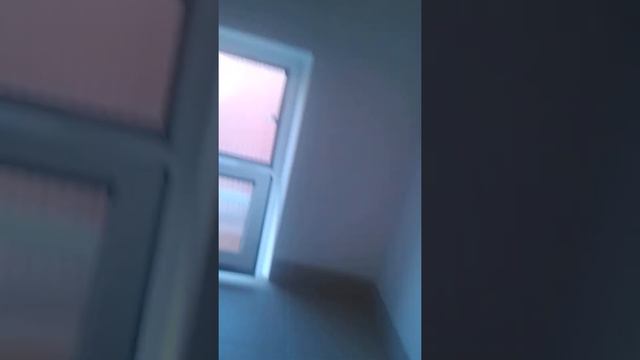Часть (1) обзор отеля смотреть онлайн
