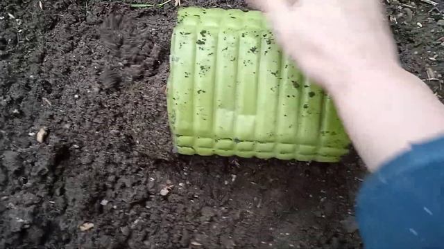 Весеннее цветение; сажаю гладиолусы, корневище мирабелиса, георгина. смотреть онлайн
