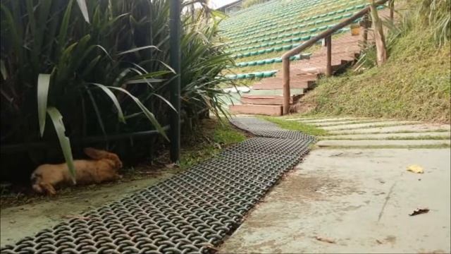 5 САМЫХ НЕОБЫЧНЫХ ФУТБОЛЬНЫХ СТАДИОНОВ МИРА смотреть онлайн