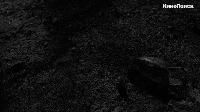 «Твин Пикс»: Что это было? смотреть онлайн