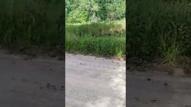 Уж в Жарковском районе смотреть онлайн